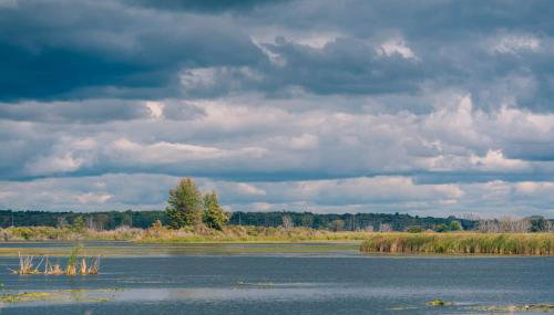 Peninsula Point Cozy Lakefront Condo 1BR 1BA - Foto 3