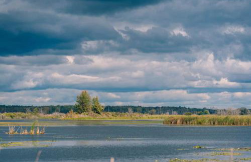 Peninsula Point Cozy Lakefront Condo 1BR 1BA - Foto 3