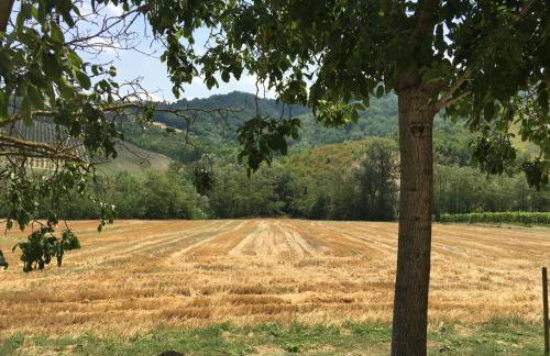 Agriturismo La Ratta - Photo 60