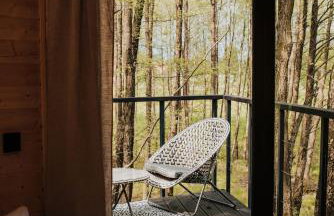 Dziki Las - domki na drzewach - Foto 44