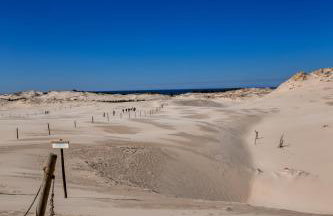 Słowiński Zakątek - Foto 70