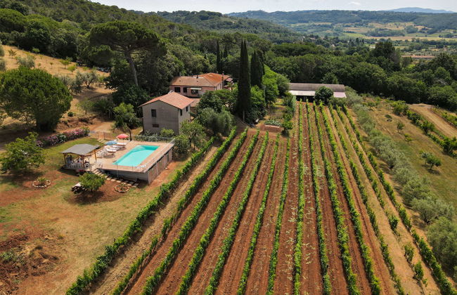 Podere la Quercia - Foto 21