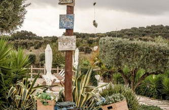 Aleixo's House | Alentejo - Foto 15