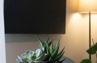 KERÉ Living - Photo 4