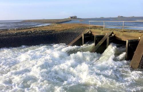 Gästehaus Neuwarft - Foto 16