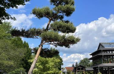 Ferienwohnung Beyer Friedrichroda - Foto 31