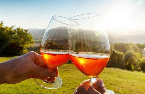 Ferienpark Oberallgäu - FeWo "Klatschmohn" Hallenbad & Sauna & WLAN - Foto 29