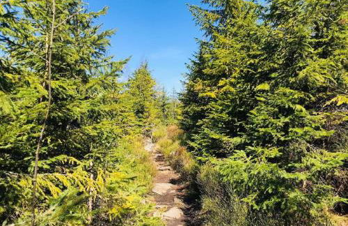 Landurlaub bei Familie Haug - Foto 32