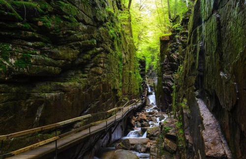 Exposed Beam 3BR Modern Mountain Retreat - Foto 34