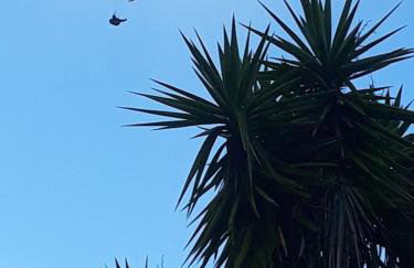 Finca El Lance - Foto 32