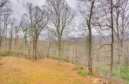 Modern Nellysford Getaway on 40 Private Acres! - Foto 38