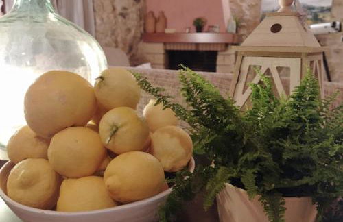 Mas Ramades - Foto 22