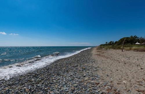 Vacances en Corse - Foto 19