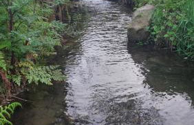 Moinho do Formigal - Foto 50