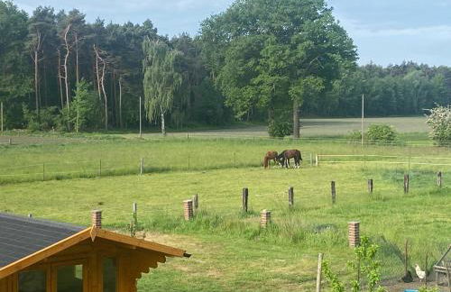Wunderschöne Ferienwohnung mit Balkon auf dem Bauernhof - Foto 16