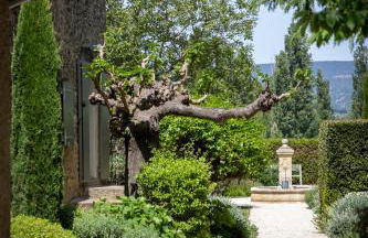 Mas des Cèdres - Photo 16