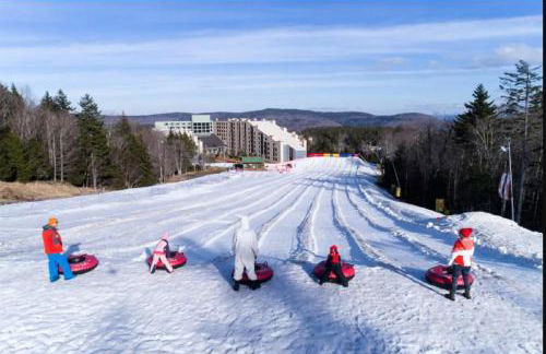 RF219 Hot tub,Heated garage and Parking - Foto 26