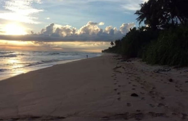 Samadara Estate, Midigama - Photo 38