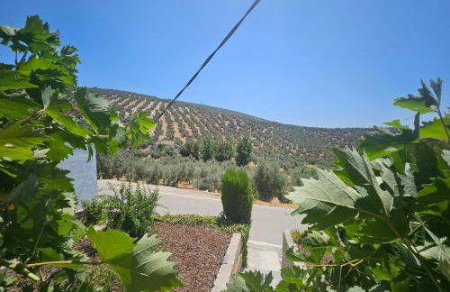 Le petit paradis de Nicole - Foto 9