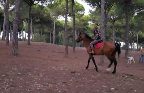 VACACIONES DE LUJO.CHALET PISCINA Y PLAYA.EL PUERTO - Foto 48