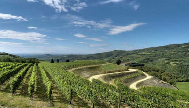 Valpolicella Electric Bike Wine Tour - Foto 4