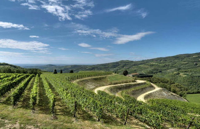 Tour del vino en bicicleta eléctrica por Valpolicella - Foto 4