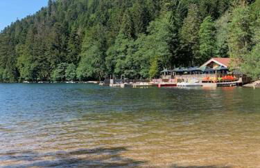 Chalet des Jonquilles - Au calme, bordant la forêt - Foto 32