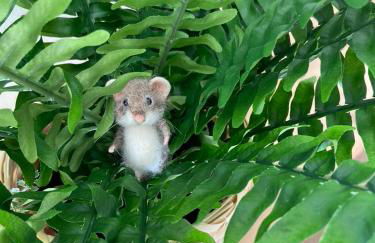 Lily l'Acrobate Aubagne-Cassis-Aix en Provence - Foto 48