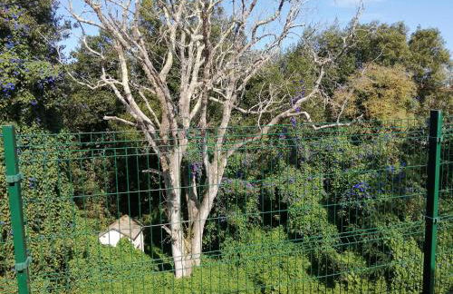 La Casa Roja Asturias - Foto 56