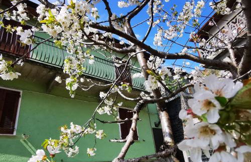 Apartment Green House-1 by Interhome - Foto 17