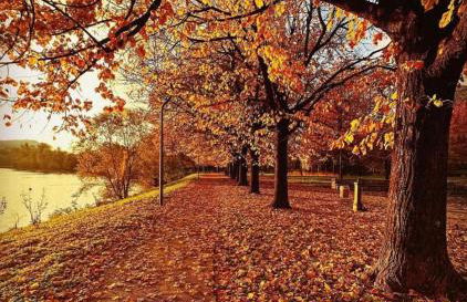 RESIDENZA LETIZIA - Foto 8