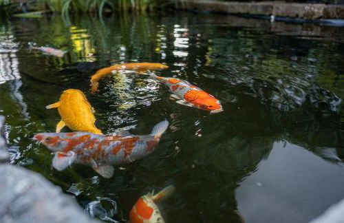 Villa Ladurner - Foto 28