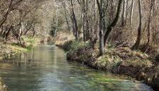 Spa y Casa Rural Rio Dulce - Foto 3