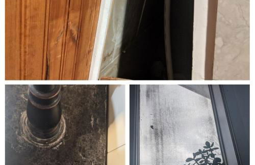 Plant House - Foto 24