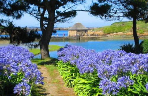 GUEST HOUSE 60m2 tout confort - Foto 18