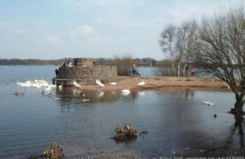 Woody Bank 3 Bed Sleeps 5 Parking WiFi Contractors - Foto 20