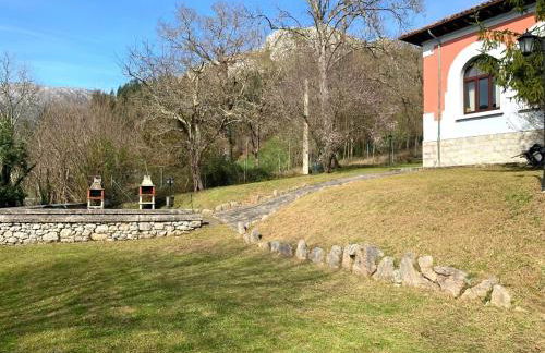 Escuelas de collía C - Foto 12