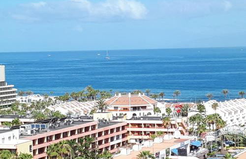 playa honda luxury - Photo 23