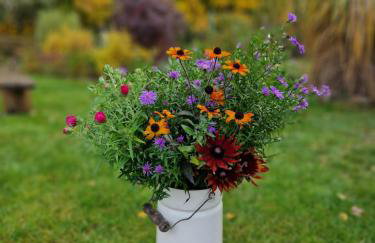 Łap Las Pelnik - Photo 31