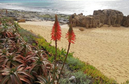 Quintinha das Lombas - Foto 54