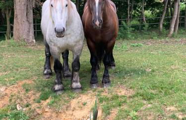 Villa Brisson - Foto 17