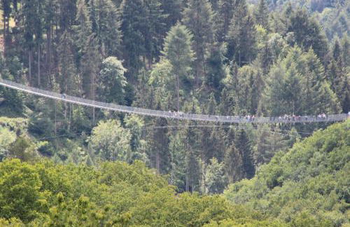 fewogriebelschied - Foto 6