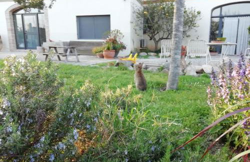 Agroturisme MAS CAN FONT - Foto 34