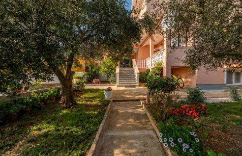 Apartman Bore - Foto 20