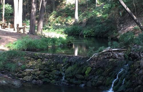 Paradise Property,Ideal para ferias ou Lua de Mel - Foto 56