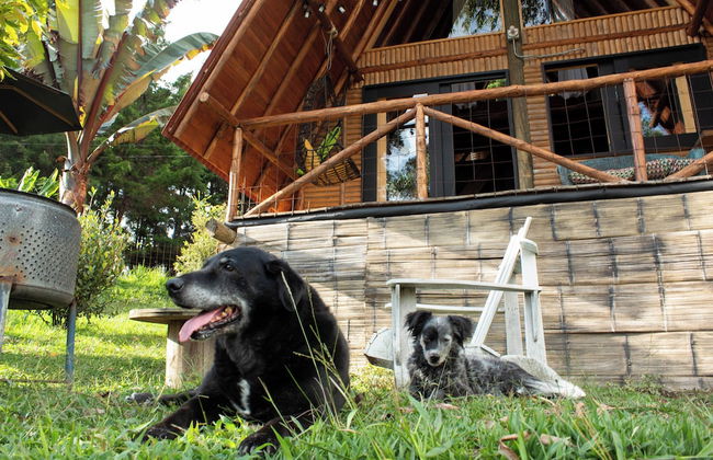 Wasikuna cabañas rurales tipo glamping - Foto 74