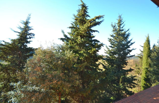 Getaway Amidst Vineyards - Foto 25