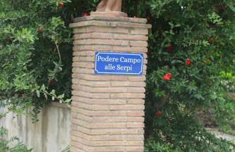 Podere Campo alle Serpi - Foto 44