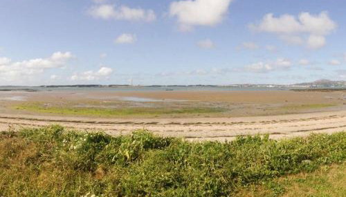 Y Stabal - Uk37403 - Photo 5