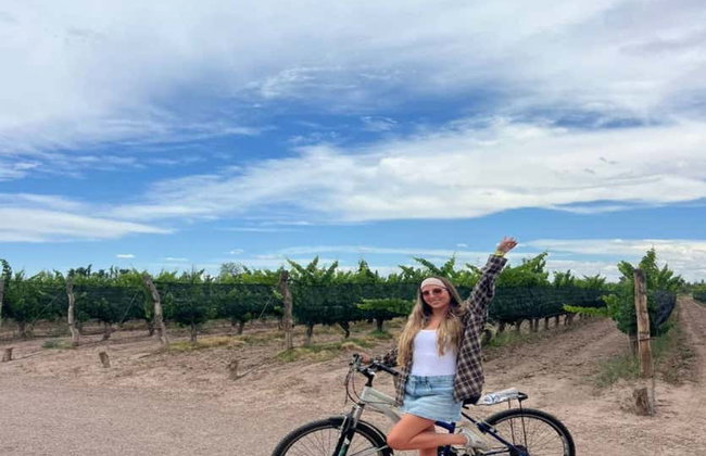 Alquiler de bicicleta en Maipú - Foto 5